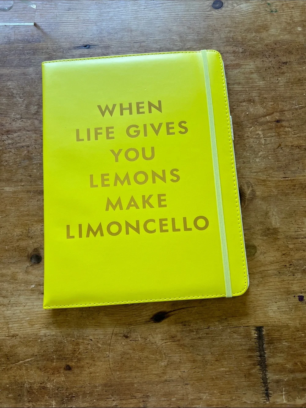 Kate Spade WHEN LIFE GIVES YOU LEMONS MAKE LIMONCELLO Leatherette Notepad Folio